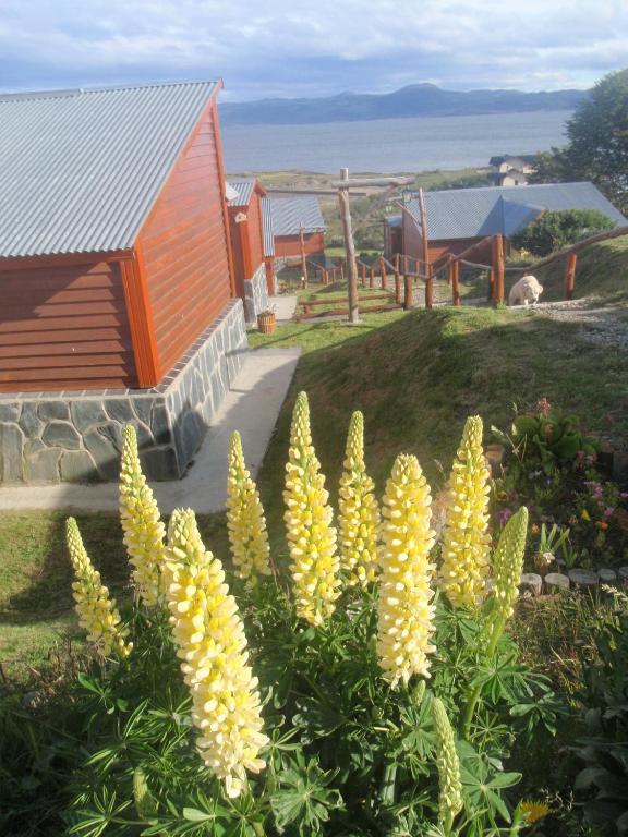 Terra Incognita Villa Ushuaia Room photo